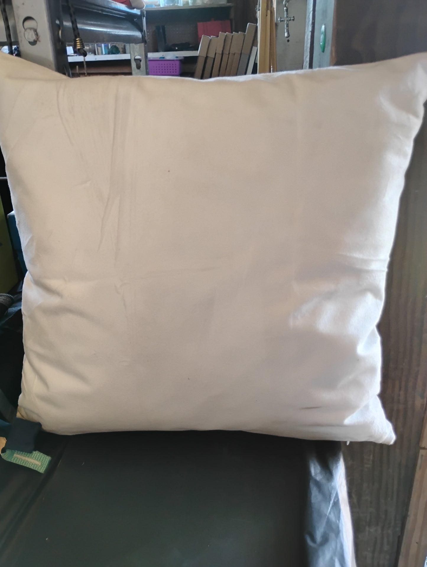 Chicken pillow