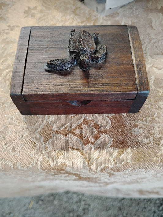 Turtle box